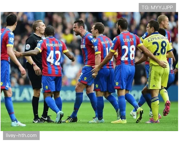 诺维奇金丝雀强势崛起，剑指英冠升级席位